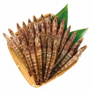 Y uɁvYⓀԊCV (-10)